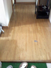 ����s�@���钬�@S�l�@