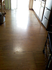 ����s�@���钬�@S�l�@